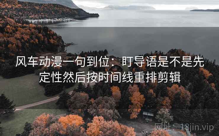 风车动漫一句到位：盯导语是不是先定性然后按时间线重排剪辑
